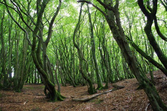 Rebild National Park