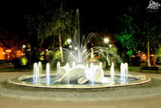 Parcul Tudor Vladimirescu