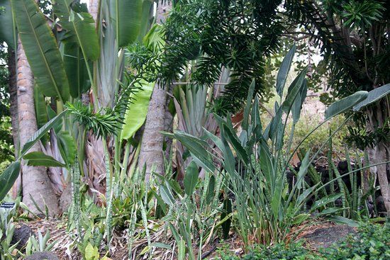 Sadie Seymour Botanical Gardens and the Kona Educational Center