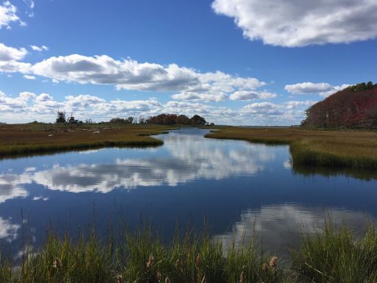 Barn Island Wildlife Management Area