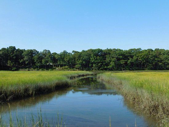Touisset Marsh Wildlife Refuge
