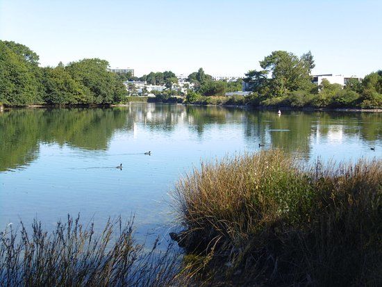Etang du Ter