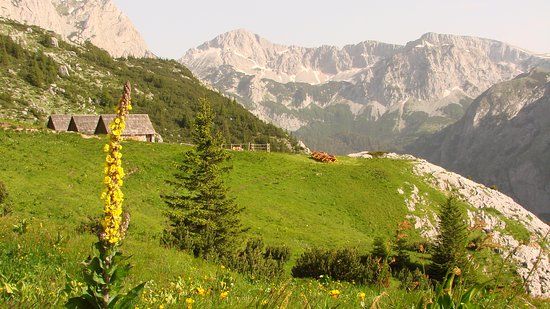 Maglic Mountain
