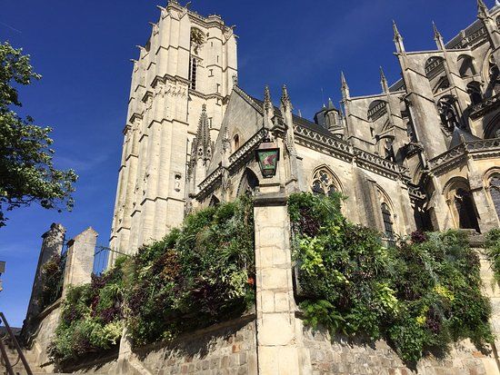 Entre Cours et Jardins