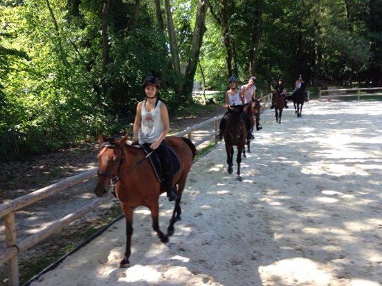 Centre Equestre De Buisson Rond
