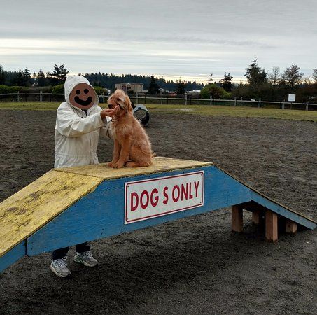 Thurston County Off Leash Dog Park