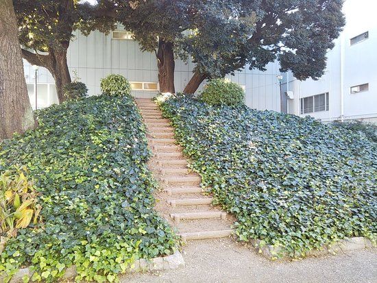 Nagonoyama Ancient Tomb
