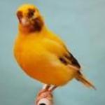 Hudsons Coffee Launceston