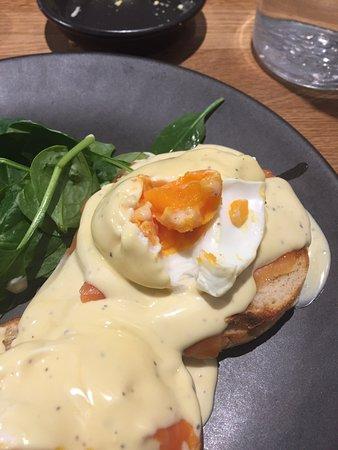 Robert Harris Cafe