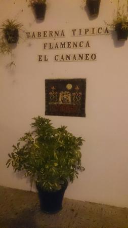Meson Cananeo