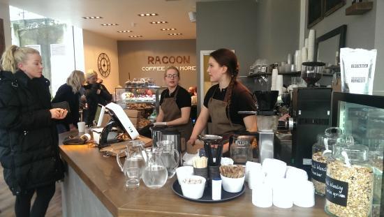 Racoon Coffee AS