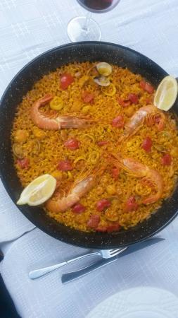El Torico Ii