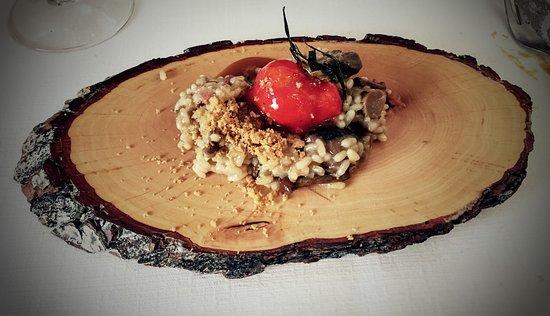 Gastrobar Amarras