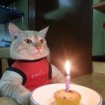 Marion Crepe Pieri Moriyama