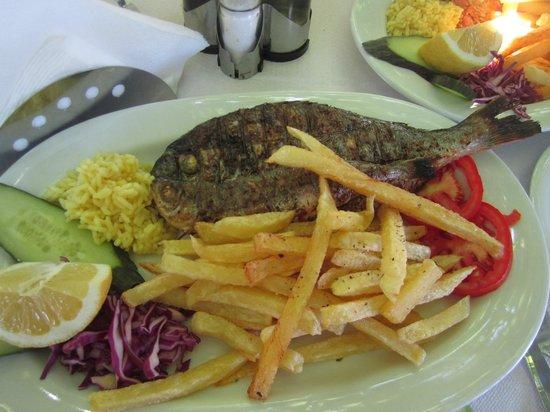 Taverna Gorgona