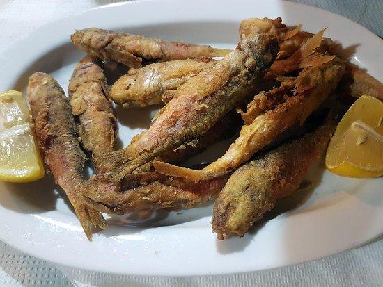 Palia Taverna