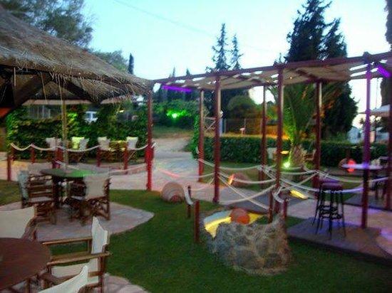Butterfly Bar