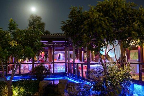 Koi restaurant