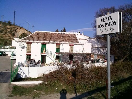 Venta Los Patos