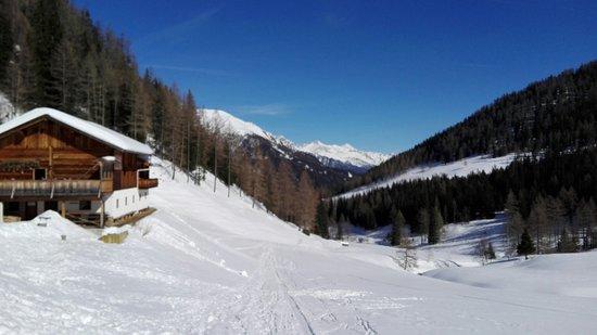 Marxegger Alm