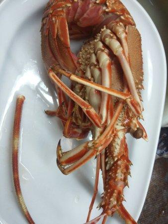 Calhabem