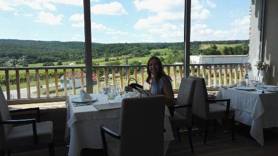Restaurace Hotel Vinice-Hnanice