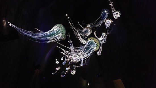 Le Mystere des Faluns