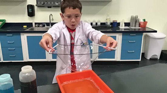 Little Beakers- the Woodlands