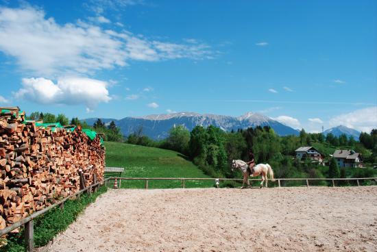 Farm at Kolenc