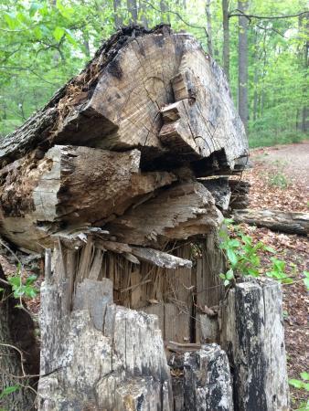 Croydon Creek Nature Center