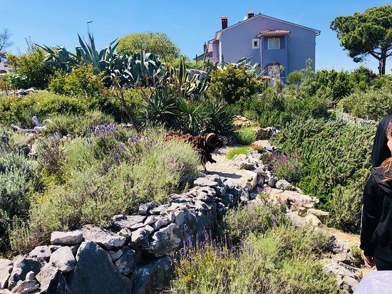 Miomirisni Otocki Vrt