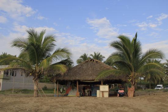 Ayotlcalli Rescue and Conservation Center