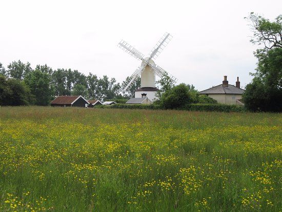 Saxtead Green Windmill