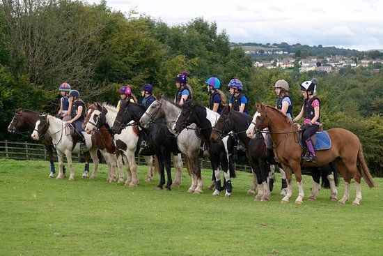 Talygarn Equestrian Centre