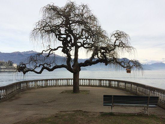 Alpinia Botanical Garden