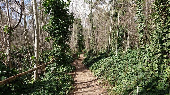 Sendero Claro Oscuro