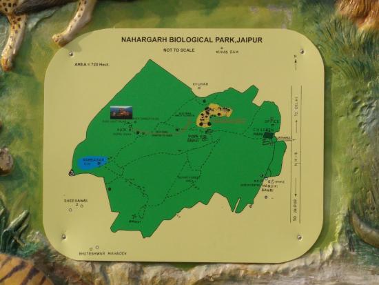 Nahargarh Biological Park