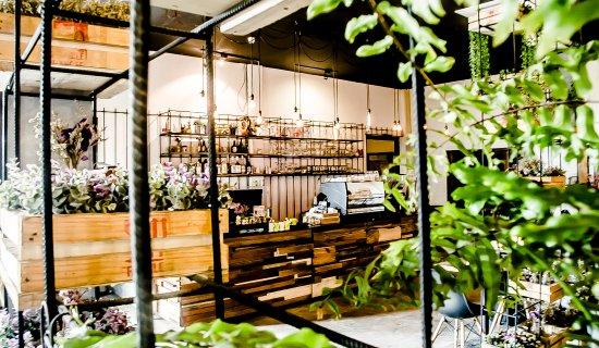 Timeline Cafe