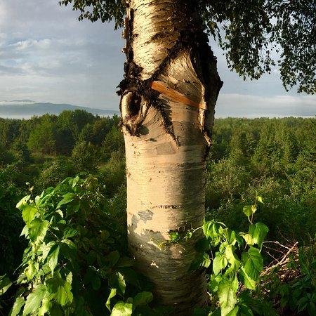 Auberge La Coudriere