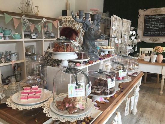 The Hungry Hummingbird