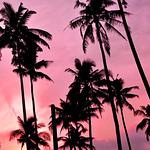 Restaurante Sao Cristovao