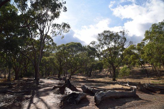 Shepherds Hill Recreation Park