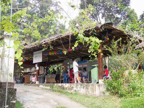 Saanen Dairy Goat Farm
