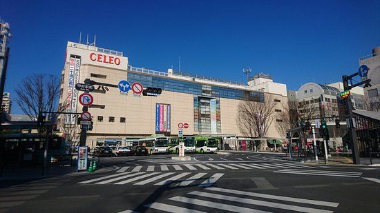 Celeo