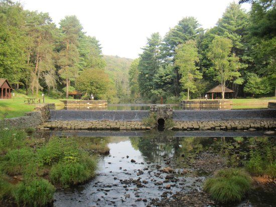Allegheny National Forest