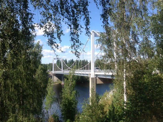 Pursialan hiidenkirnu