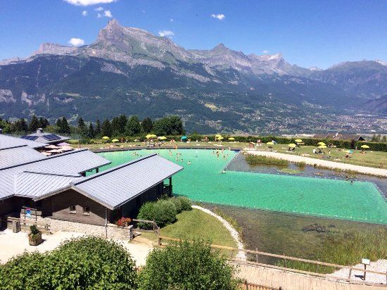 Plan d'eau biotope