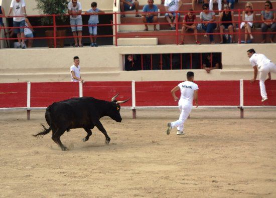 Les Arenes de Perols