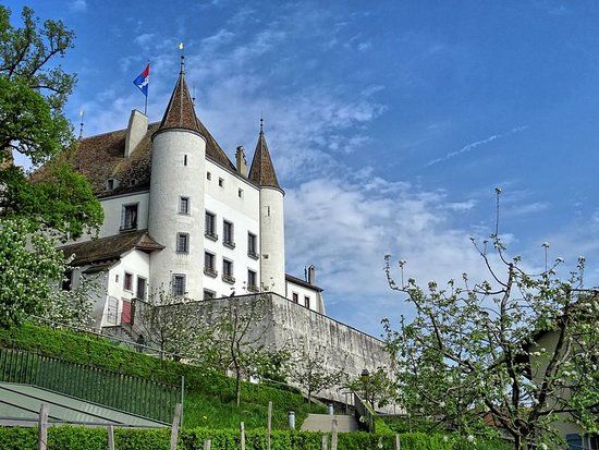 Chateau de Nyon
