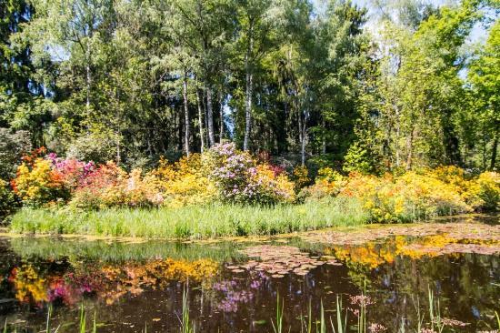 Park Seleger Moor